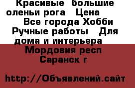 Красивые  большие оленьи рога › Цена ­ 3 000 - Все города Хобби. Ручные работы » Для дома и интерьера   . Мордовия респ.,Саранск г.